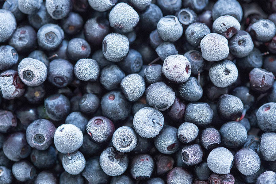 <span>Travel</span>Frozen Berries of Sugarland